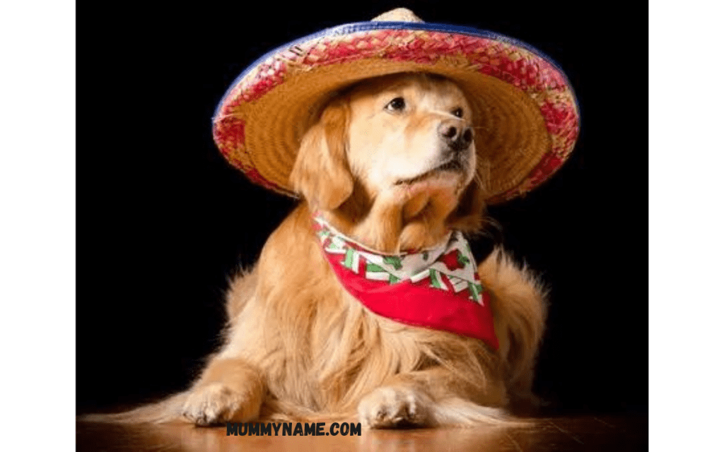 Funny Mexican Dog Names