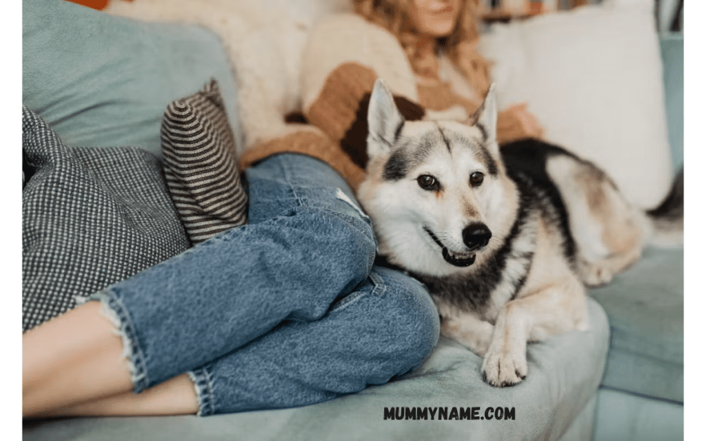 Trending Strong Female Dog Names